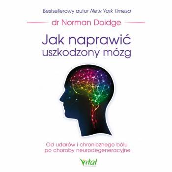 Jak naprawić uszkodzony mózg. Od udarów i chronicznego bólu po choroby neurodegeneracyjne