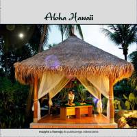 Aloha Hawaii 432 Hz. Muzyka bez opłat CD