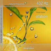 Elation 432 Hz muzyka na harfie. Muzyka bez opłat MP3