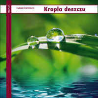 KROPLA DESZCZU 432 HZ. Muzyka na CD z licencją