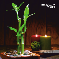 MUZYCZNY RELAKS - 432 HZ. Muzyka na CD z licencją