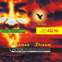 SHAMAN DREAM - 432 HZ. Muzyka bez opłat mp3