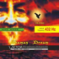 SHAMAN DREAM - 432 HZ. Muzyka na CD