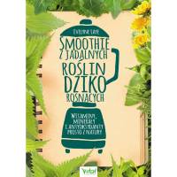 Smoothie z jadalnych roślin dziko rosnących