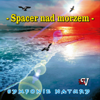 SPACER NAD MORZEM - 432 HZ. Muzyka bez opłat MP3