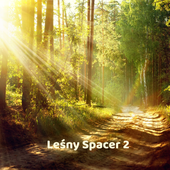 LEŚNY SPACER 2 - 432 HZ. Muzyka bez opłat mp3