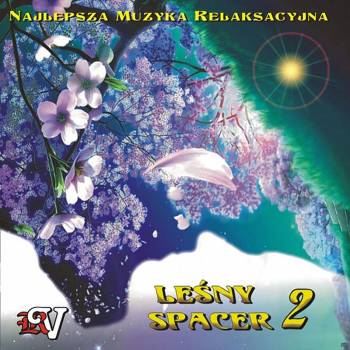 LEŚNY SPACER 2 - 432 HZ. Muzyka bez opłat mp3