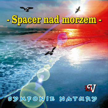 SPACER NAD MORZEM - 432 HZ. Muzyka bez opłat na CD